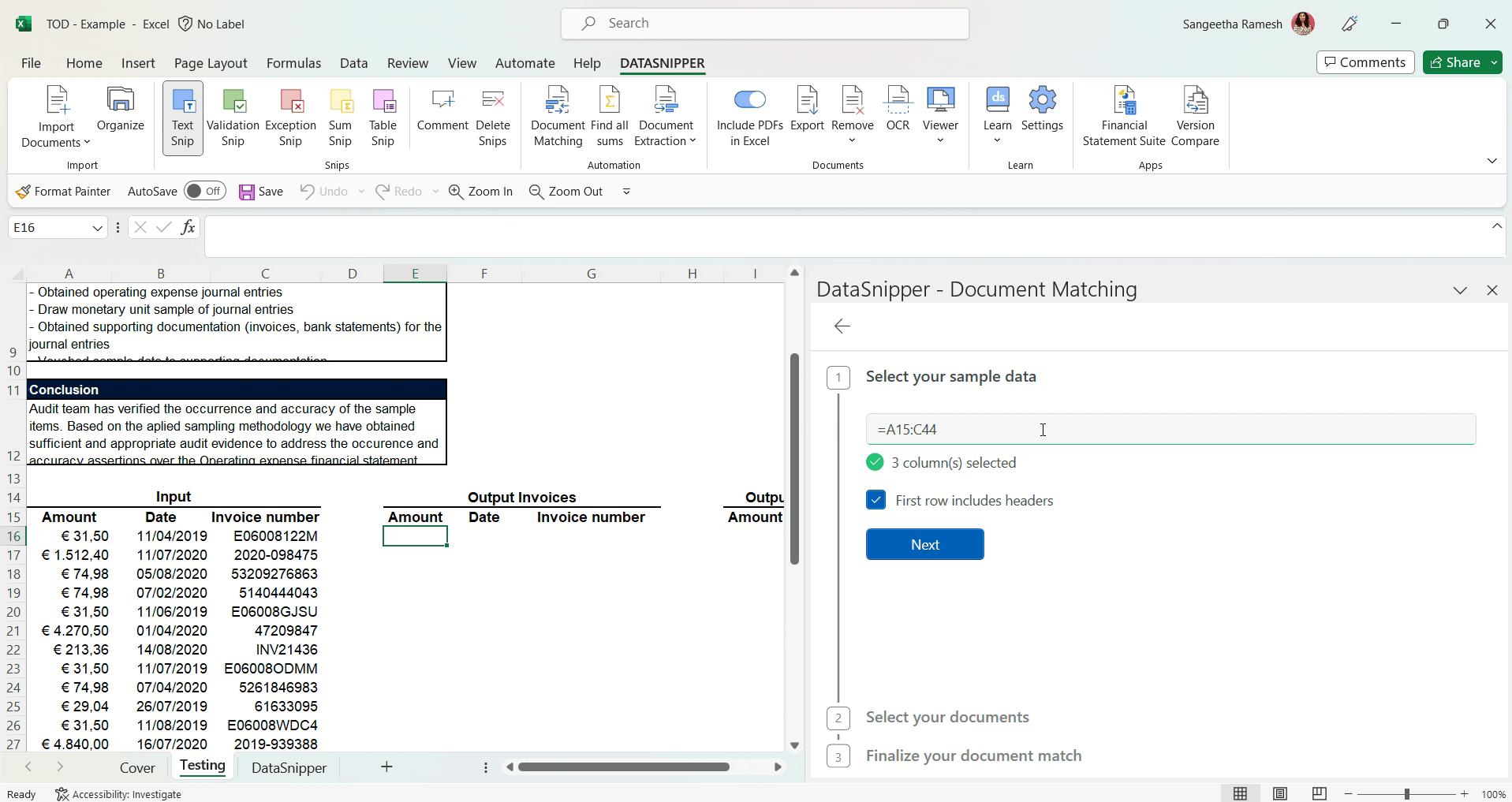 How to document a Test of Detail